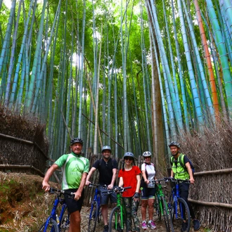 tourhub | Intrepid Travel | Cycle Japan 