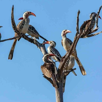 tourhub | YellowWood Adventures | Horse riding safari in Botswana's Okavango Delta 