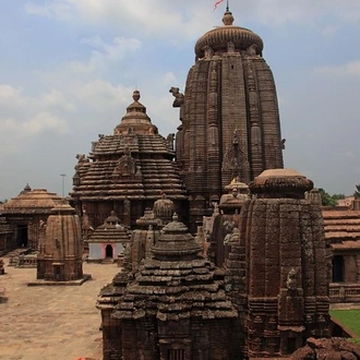 tourhub | Agora Voyages | Tribal Heritage & Tiger Trails: Bhubaneshwar to Nagpur Tour 