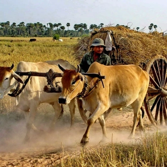 tourhub | All Points East | Highlights of Cambodia 