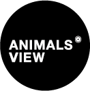 Animals' View logo