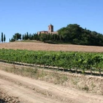 tourhub | Walkers' Britain | Cycle the Wine Regions of Tuscany 