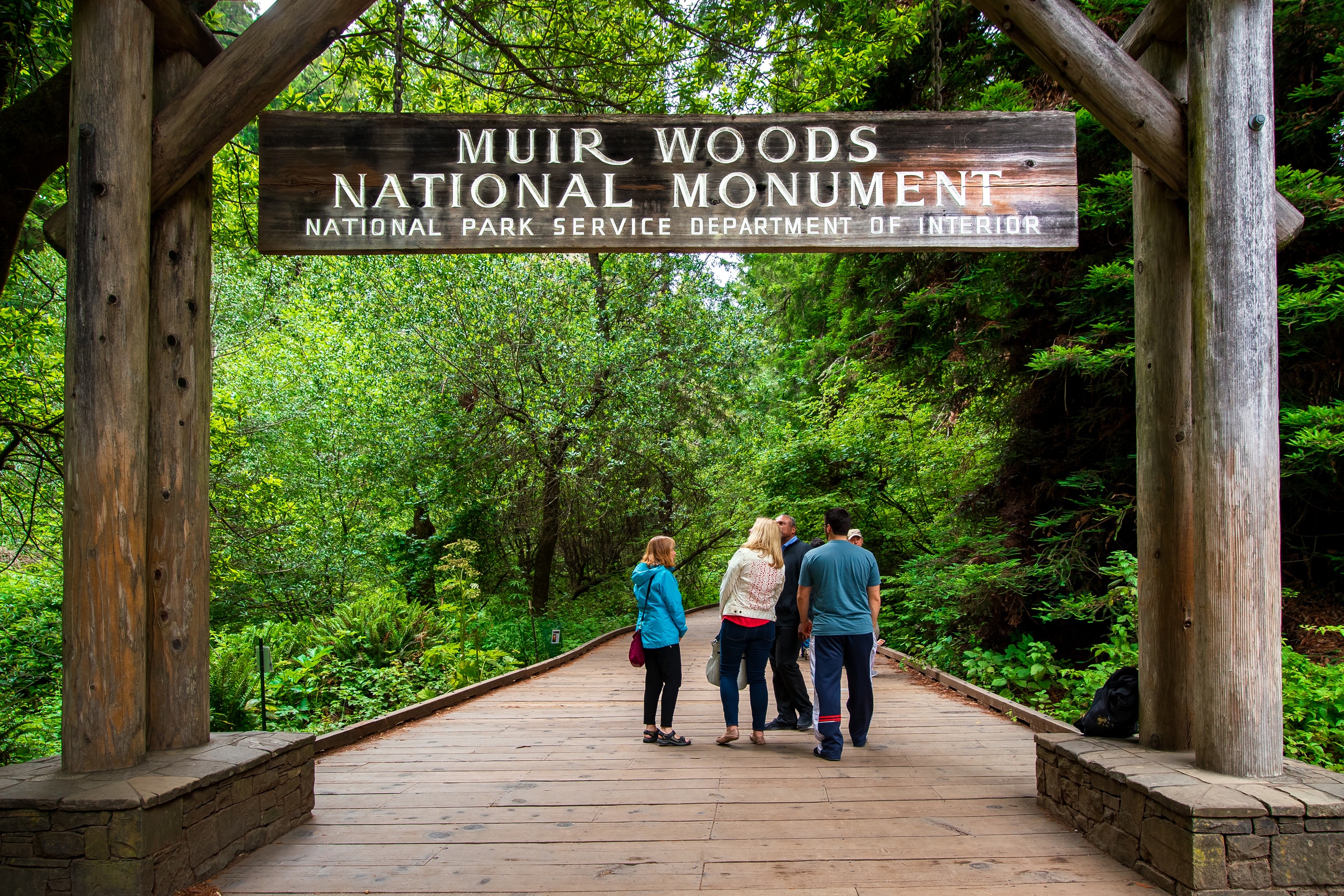 Redwoods and California Wine Country Combo Tour image 4