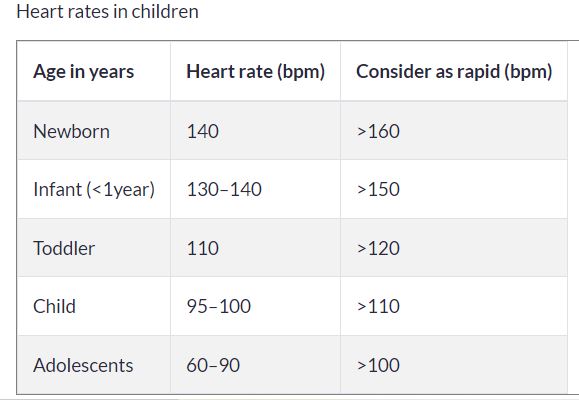 24 Simple Activities To Explore The Cardiovascular System With Kids ...