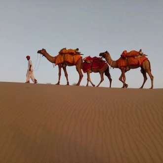 tourhub | Panda Experiences | Adventure Tour of Rajasthan 