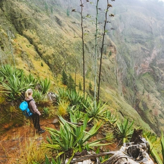 tourhub | The Natural Adventure | Walking in Cape Verde: São Vicente and Santo Antão 