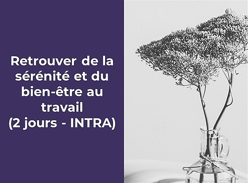 Représentation de la formation : Retrouver de la sérénité et du bien-être au travail (2 jours - INTRA) 