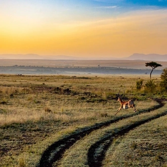 tourhub | Indus Travels | Captivating Kenya 