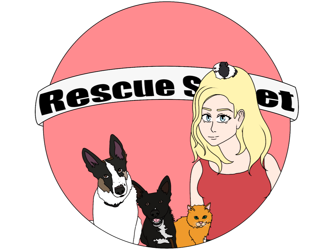 Rescue Street logo