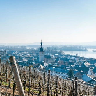 tourhub | Riviera Travel | Christmas on the Rhine - MS Geoffrey Chaucer 