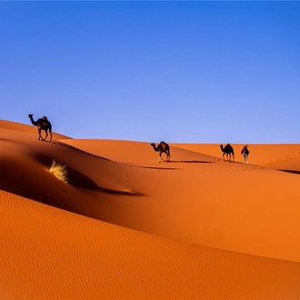 tourhub | Bamba Travel | Merzouga Gorges & Deserts Adventure 3D/2N (Marrakech to Marrakech) 