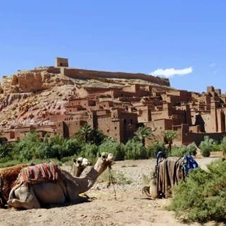 tourhub | Morocco Global Adventures | From Marrakech: 3 day trip to Fes via Merzouga Desert & Camel trek 