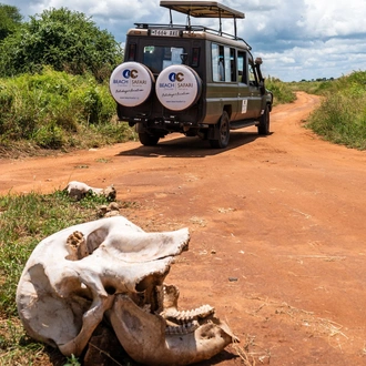 tourhub | Beach and Safari Holidays | Tanzanian Safari Adventure: Wildlife, Culture, and Wonders 