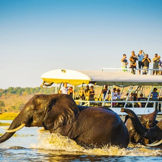 tourhub | Indus Travels | A Journey Through Botswana and Victoria Falls 