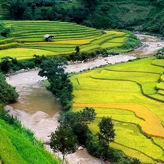 tourhub | LVP Travel Vietnam | Hanoi - SaPa - Lao Chai- Ta van Ethnic villages by Train and Bus 