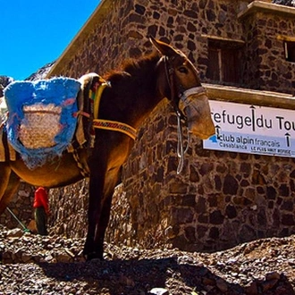 tourhub | Bamba Travel | Mount Toubkal Trek 3D/2N 