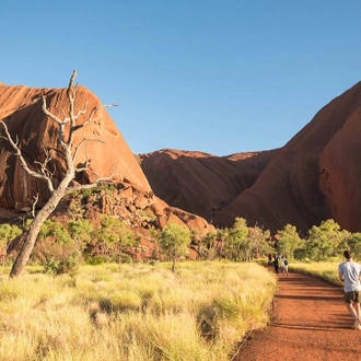 tourhub | Intrepid Travel | Uluru & Kings Canyon Express 