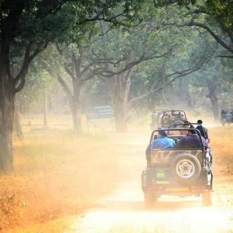 tourhub | Go Book Tours | Bandhavgarh Jungle Safari Tour Package 