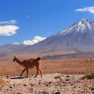 tourhub | On The Go Tours | Atacama & the North - 10 Days 