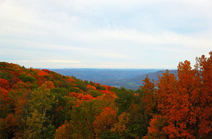 1-Day Great Smoky Mountains Fall Tour from Pigeon Forge