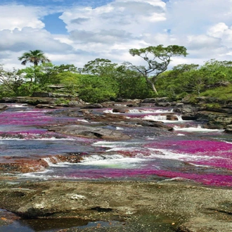 tourhub | Today Voyages | EN Xperience Colombia & Caño Cristales FIT 