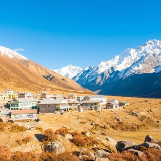 tourhub | Intrepid Travel | Tamang Heritage & Langtang Valley Trek 