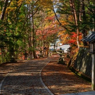 tourhub | Tweet World Travel | Heritage Of Japan Biking Tour 