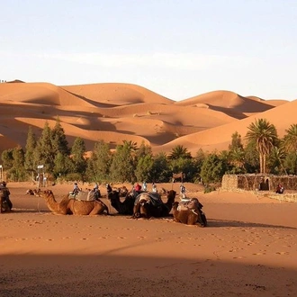 tourhub | Across Africa Tours Travel | 5 Days Sahara Express from Marrakech 