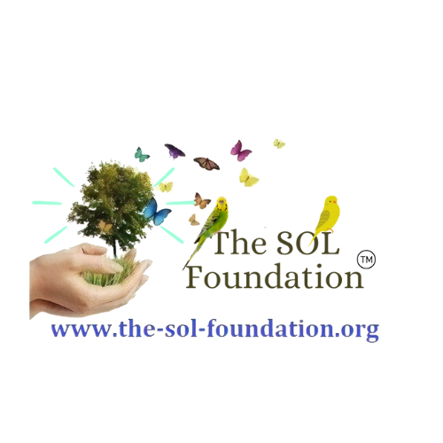 The SOL Foundation™ logo