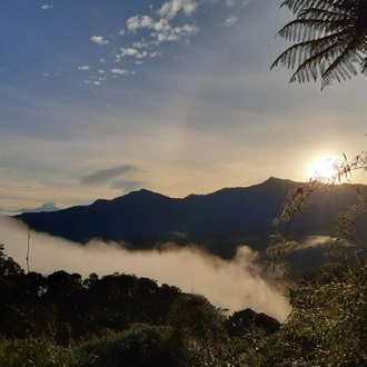 tourhub | Ecuador Wonders | Wildlife Mainland Ecuador Small Group Tour 