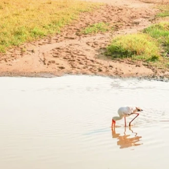 tourhub | Contiki | Nomadic Namibia | 2024 