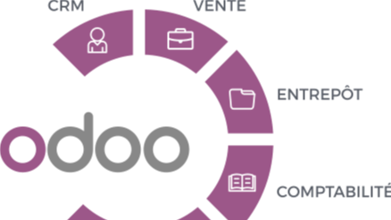 Représentation de la formation : Parcours de formation maîtriser l'ERP ODOO