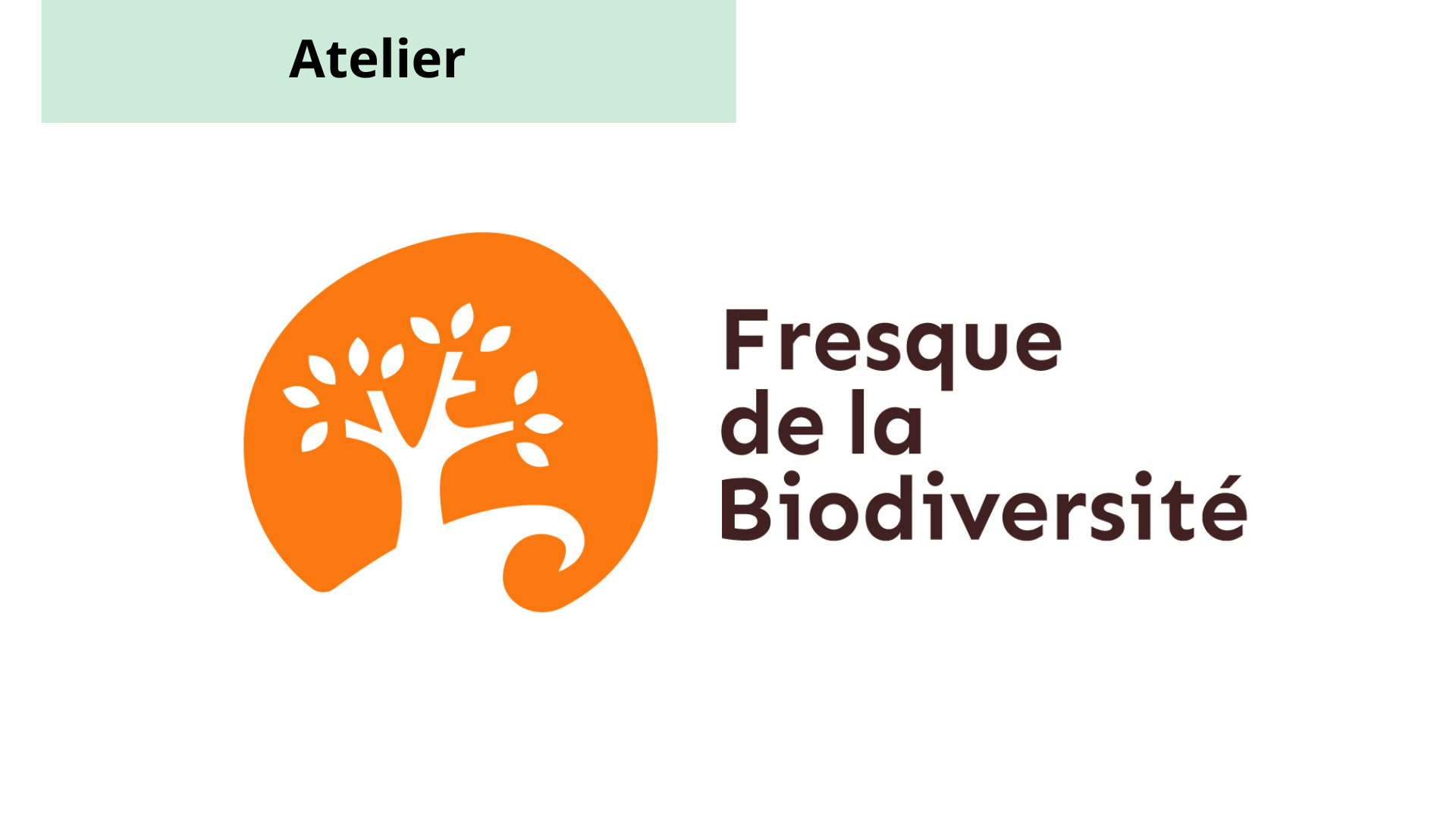 Représentation de la formation : Les enjeux et pressions autour de la biodiversité 