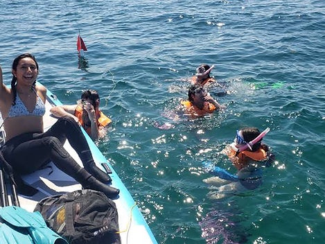 Ocean Reef Snorkeling and Paddleboarding