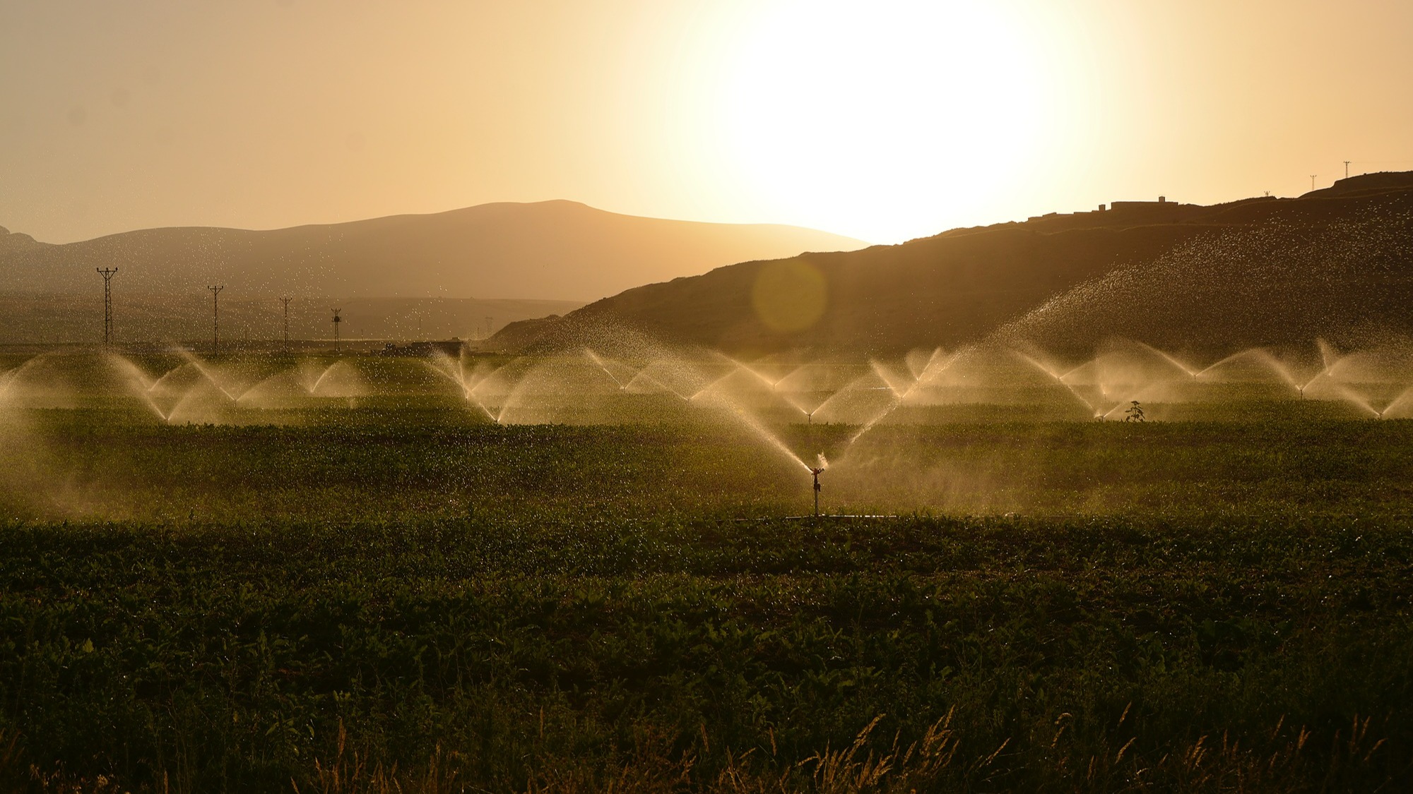 Représentation de la formation : Une meilleure efficience de l’irrigation en maraichage diversifié