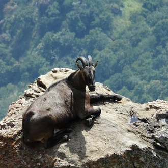 tourhub | Agora Voyages | Kerala's Sacred Nature Expedition 