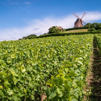 tourhub | Exodus Adventure Travels | Cycle the Wine Route of Champagne 