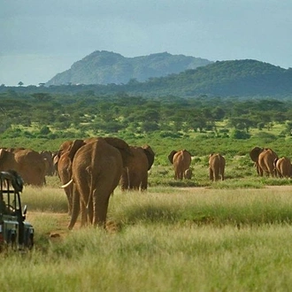 tourhub | Gracepatt Ecotours Kenya | 4 Days Aberdares National park & Samburu National Reserve Wildlife Safari  