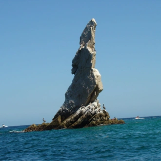 tourhub | Bamba Travel | Baja's Whale Wonders & La Paz Escapades 6D/5N 