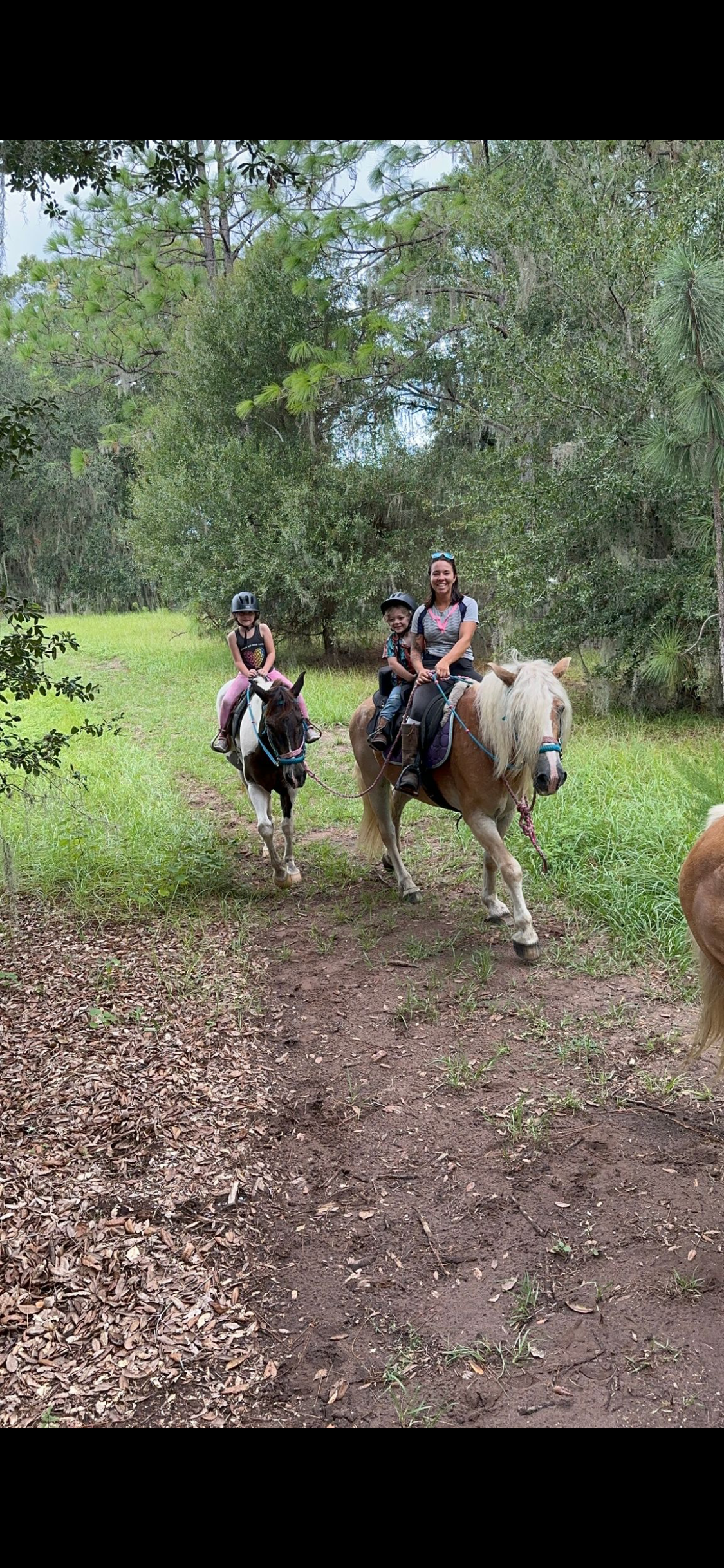 Winter Trail Rides!