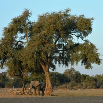 tourhub | Bundu Safaris Ltd | Kafue National Park 