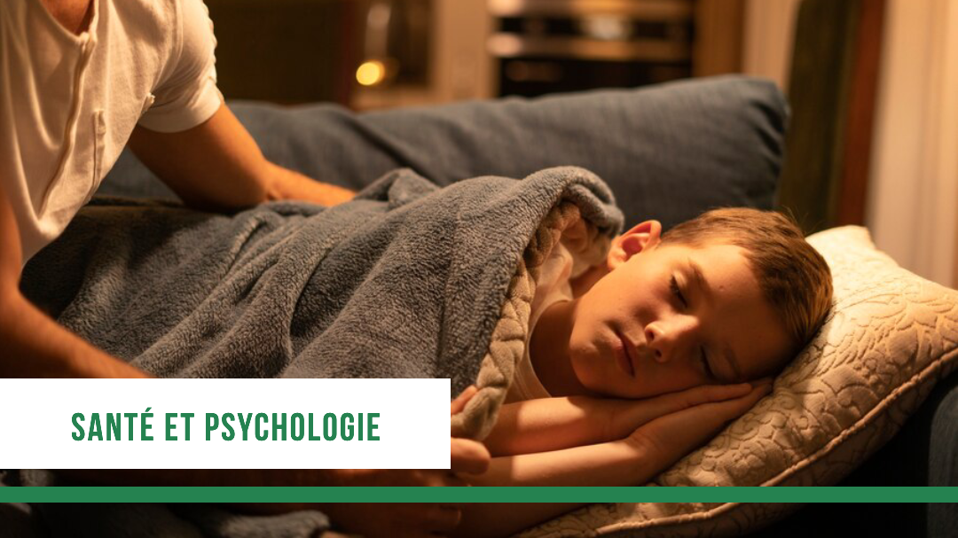 Représentation de la formation : 2.5 Le sommeil et ses troubles : généralités et troubles du neurodéveloppement