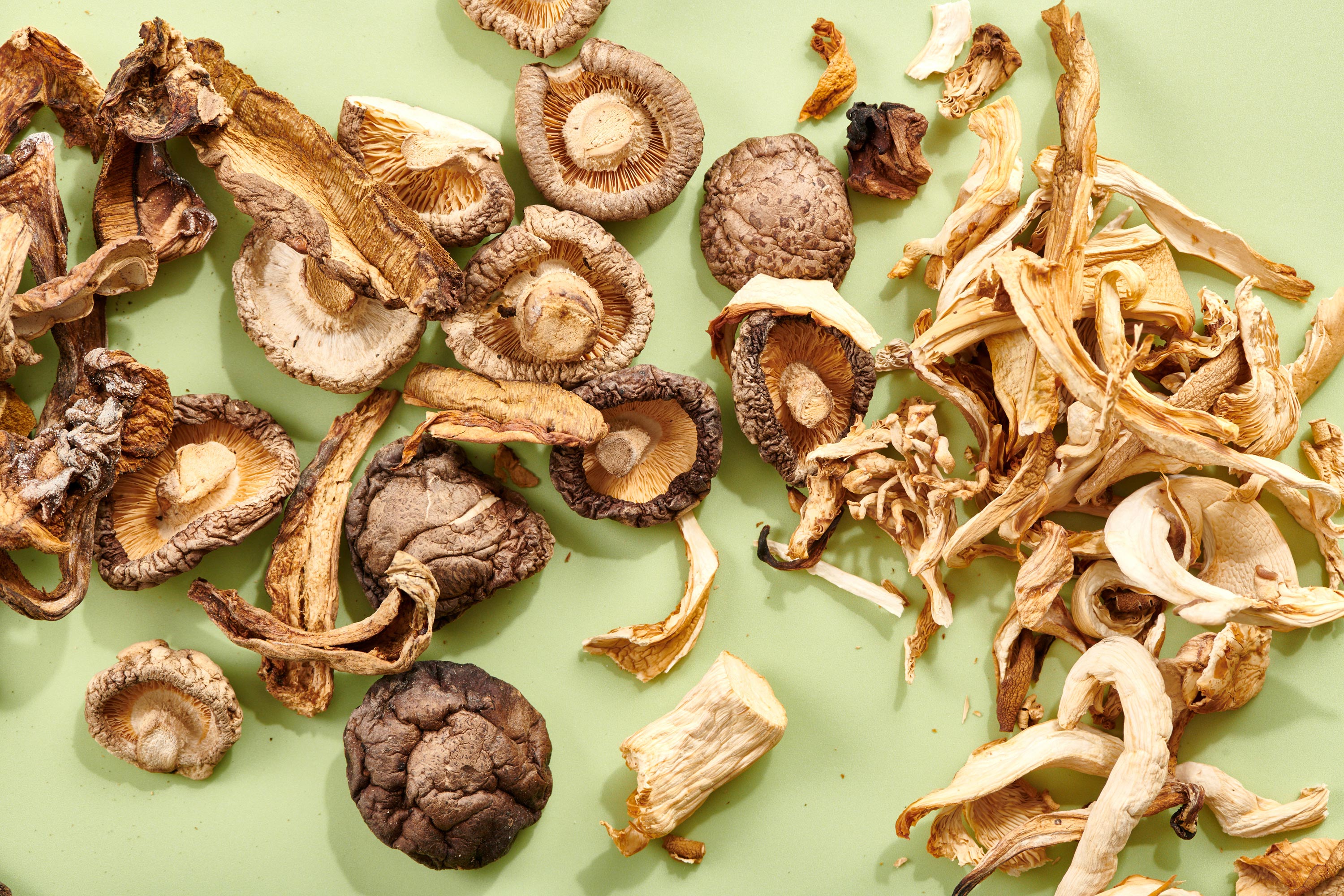 Dehydrating Mushrooms: How To Dry Mushrooms? - Think Mushrooms