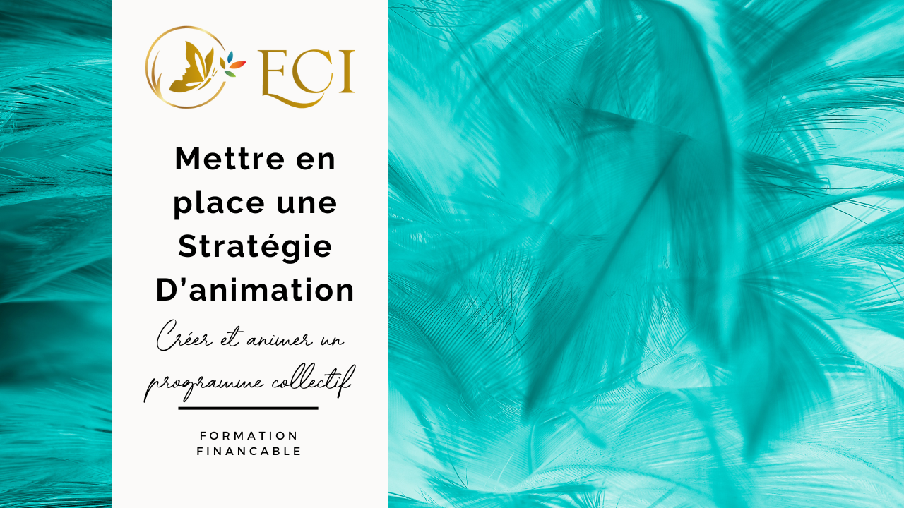 Représentation de la formation : Développer une Stratégie d'Animation Singulière 