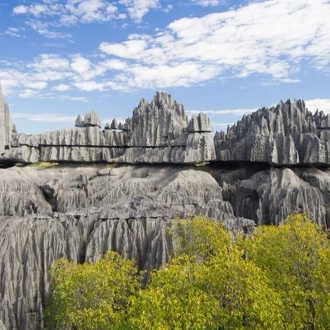 tourhub | Intrepid Travel | Madagascar Baobabs & Beyond 