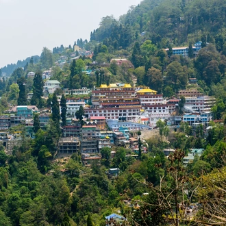 tourhub | Panda Experiences | North East India with Bhutan Tour 