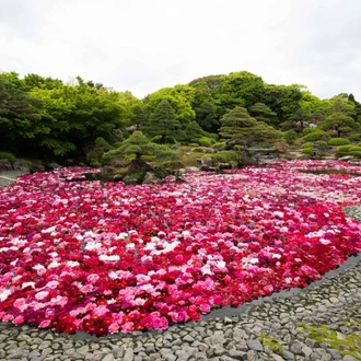 tourhub | Heritage Expeditions | Discover The Islands Of Japan 