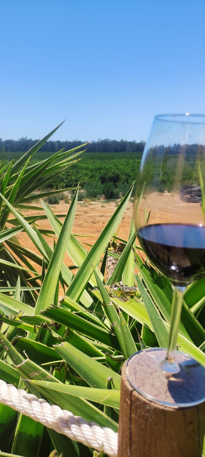 Wine Tasting Off-Road Tour