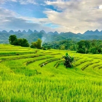 tourhub | Mr Linh's Adventures | Mu Cang Chai trekking 4 days 3 nights 