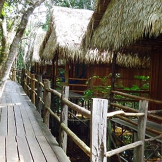 tourhub | Signature DMC | 4-Days Unique Experience at Amazon Lodge, immersion on a Jungle Adventure  